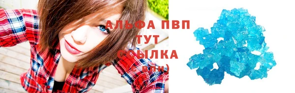PSILOCYBIN Новозыбков