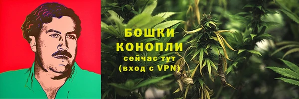 PSILOCYBIN Новозыбков