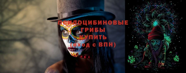 гидропоника Новодвинск