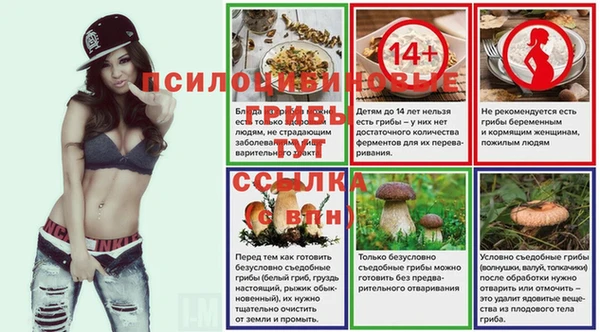 ALPHA-PVP Туринск