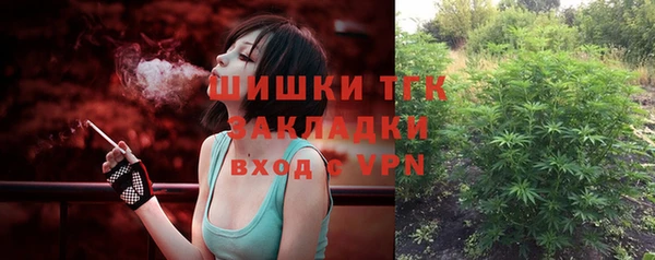 PSILOCYBIN Новозыбков